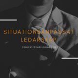 Situationsanpassat ledarskap – Modellens för- och nackdelar