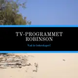 TV-programmet Robinson – Vad är ledarskap?