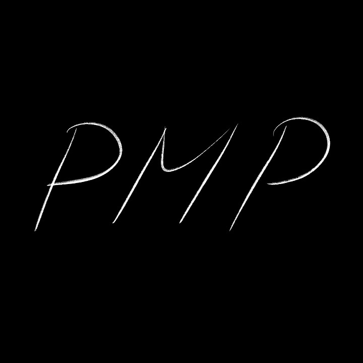 En bild som endast säger PMP. Den är placerad precis innan stycket som handlar om vad du förväntas lära dig vid en projektledarcertfiering hos PMI. 